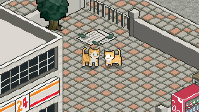 A Street Cat's Tale