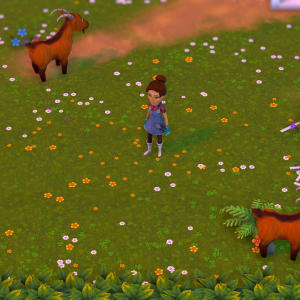 My Universe Green Adventure