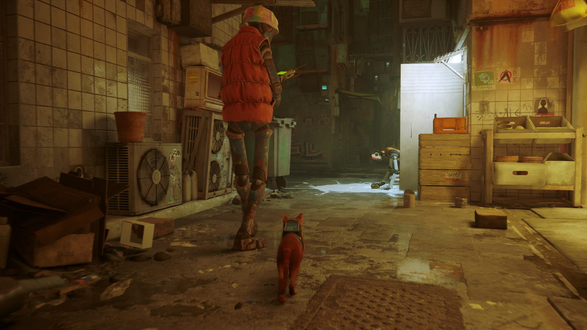Stray