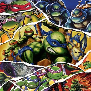 Teenage Mutant Ninja Turtles The Cowabunga Collection