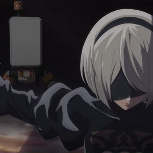 NieR Automata Ver1.1a
