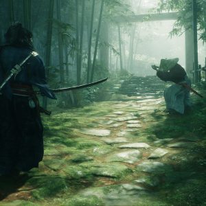 Rise of the Ronin