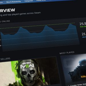 Steam