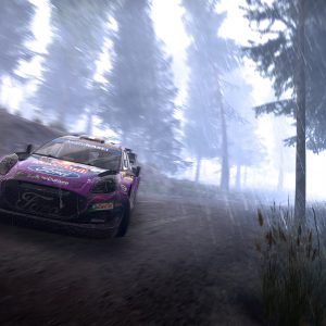 WRC Generation