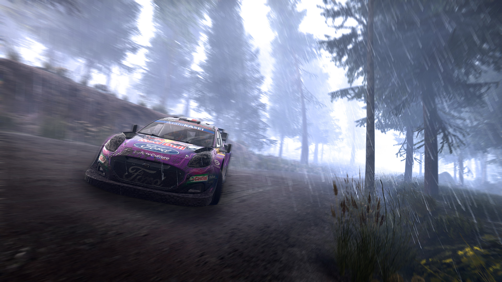 WRC Generation