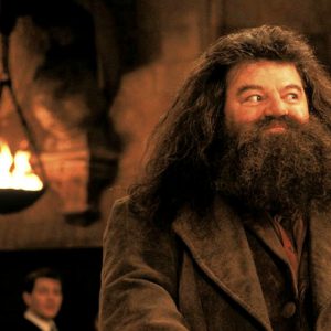 Robbie Coltrane Hagrid
