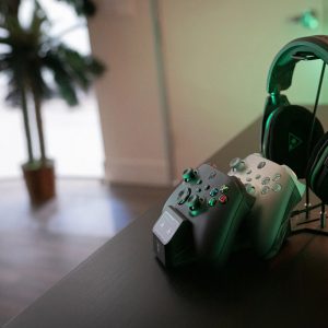 turtle beach