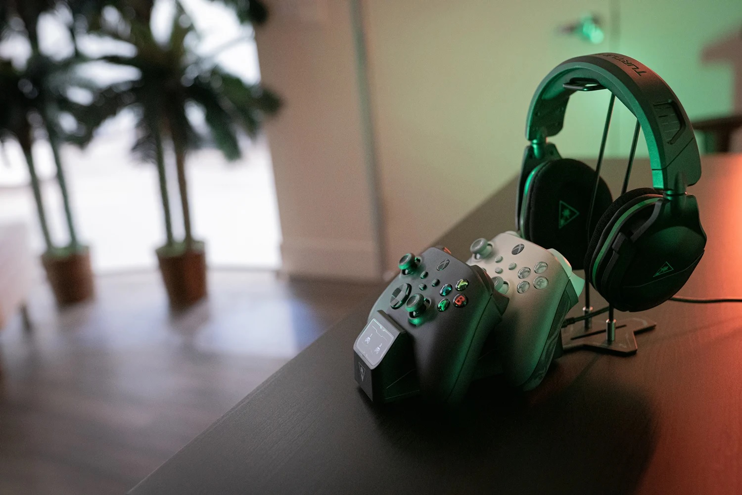 turtle beach