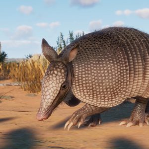 Planet Zoo