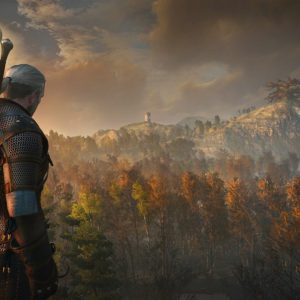 The Witcher