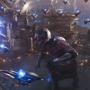 ant-man and the wasp