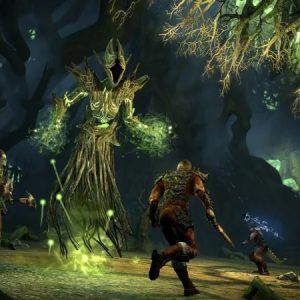 The Elder Scrolls Online