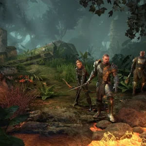 The Elder Scrolls Online