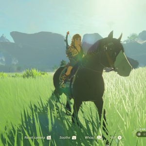 The Legend of Zelda Tears of the Kingdom