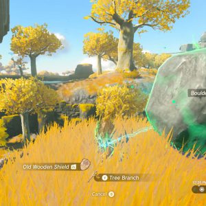The Legend of Zelda Tears of the Kingdom