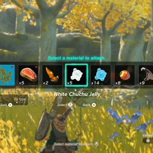 The Legend of Zelda Tears of the Kingdom