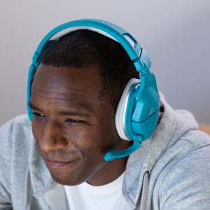 Turtle Beach