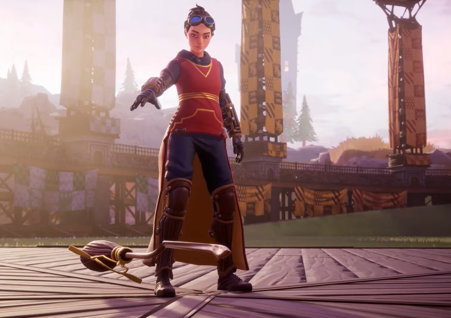 Harry Potter Campioni di Quidditch