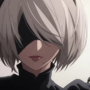 Nier Automata Ver1.1a