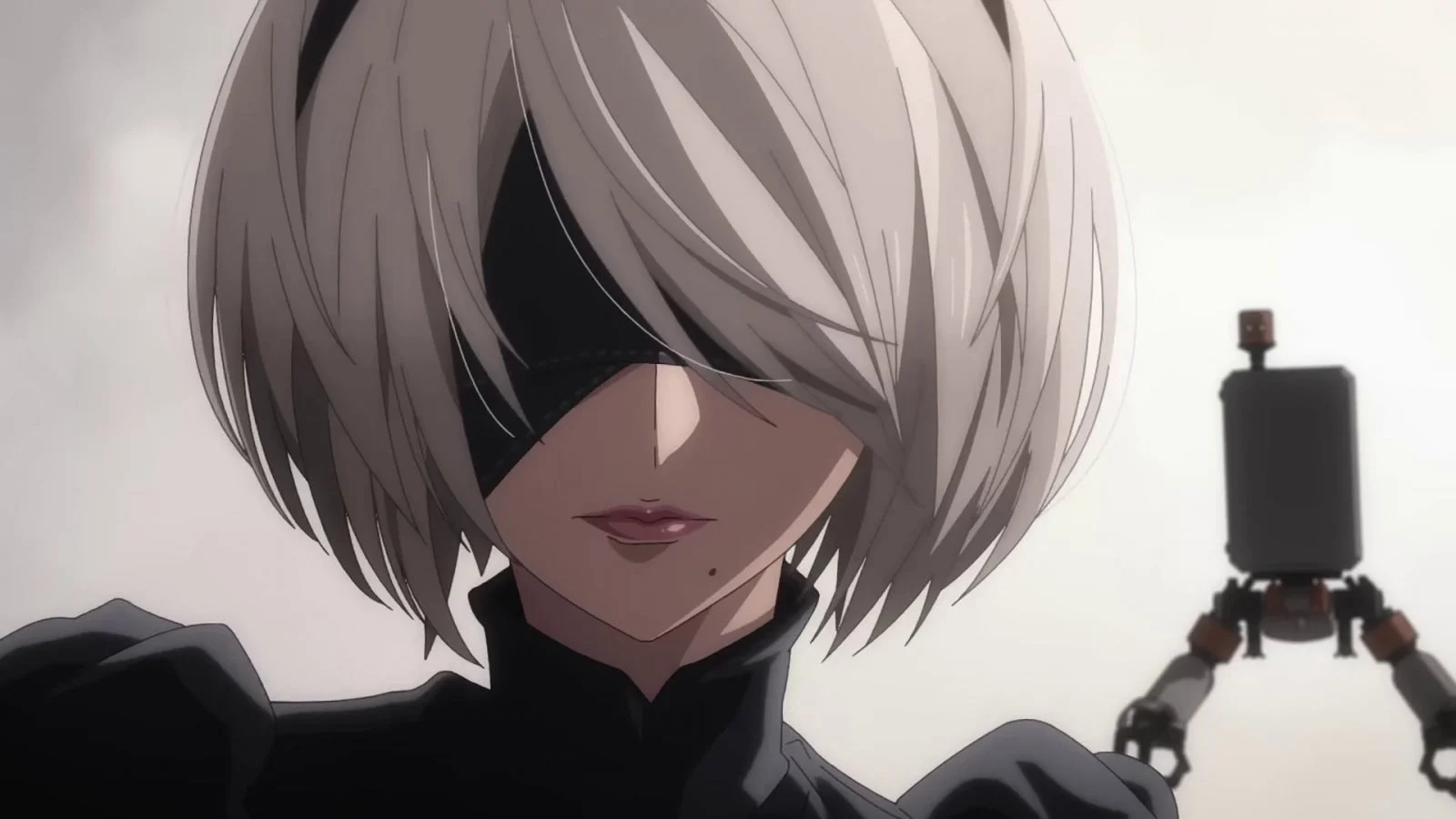 Nier Automata Ver1.1a