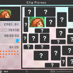 Picross S9