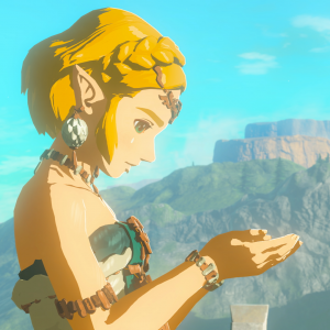 The Legend of Zelda Tears of Kingdom