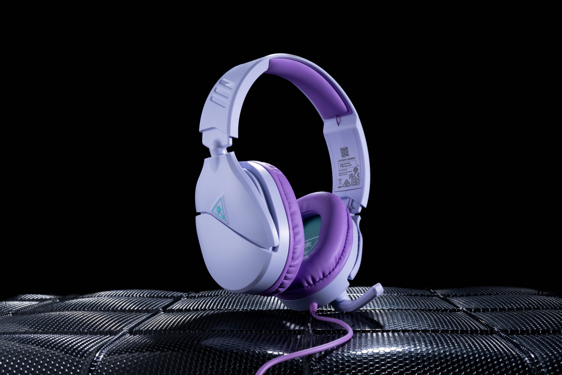 Turtle Beach