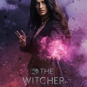 the witcher