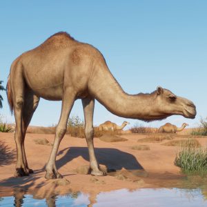 Planet Zoo