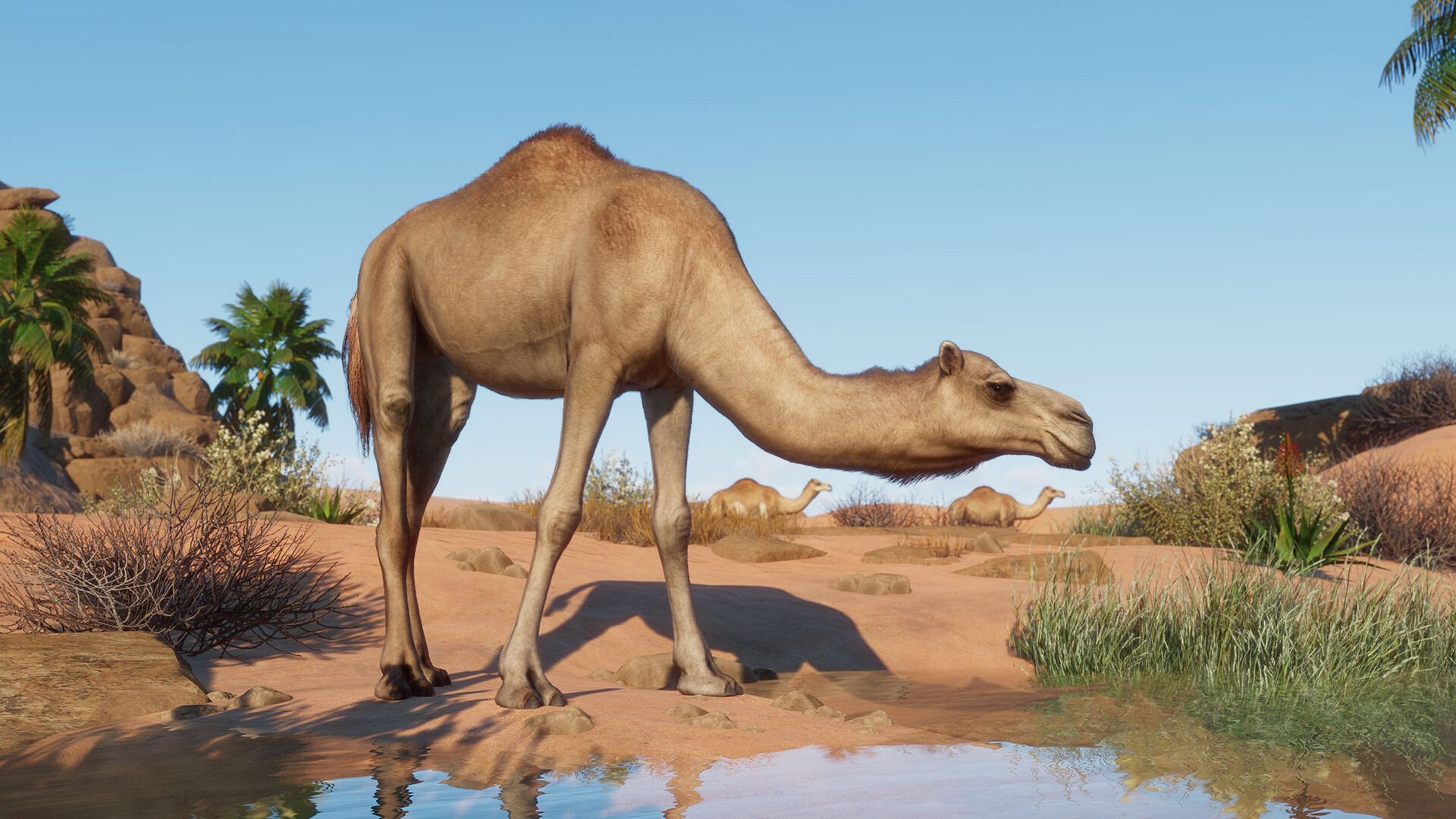 Planet Zoo
