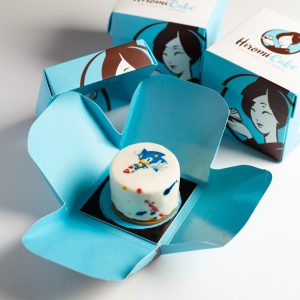 Sonic Hiromi Cake