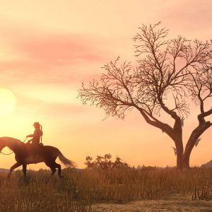 Red Dead Redemption