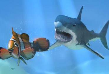 Shark Shark