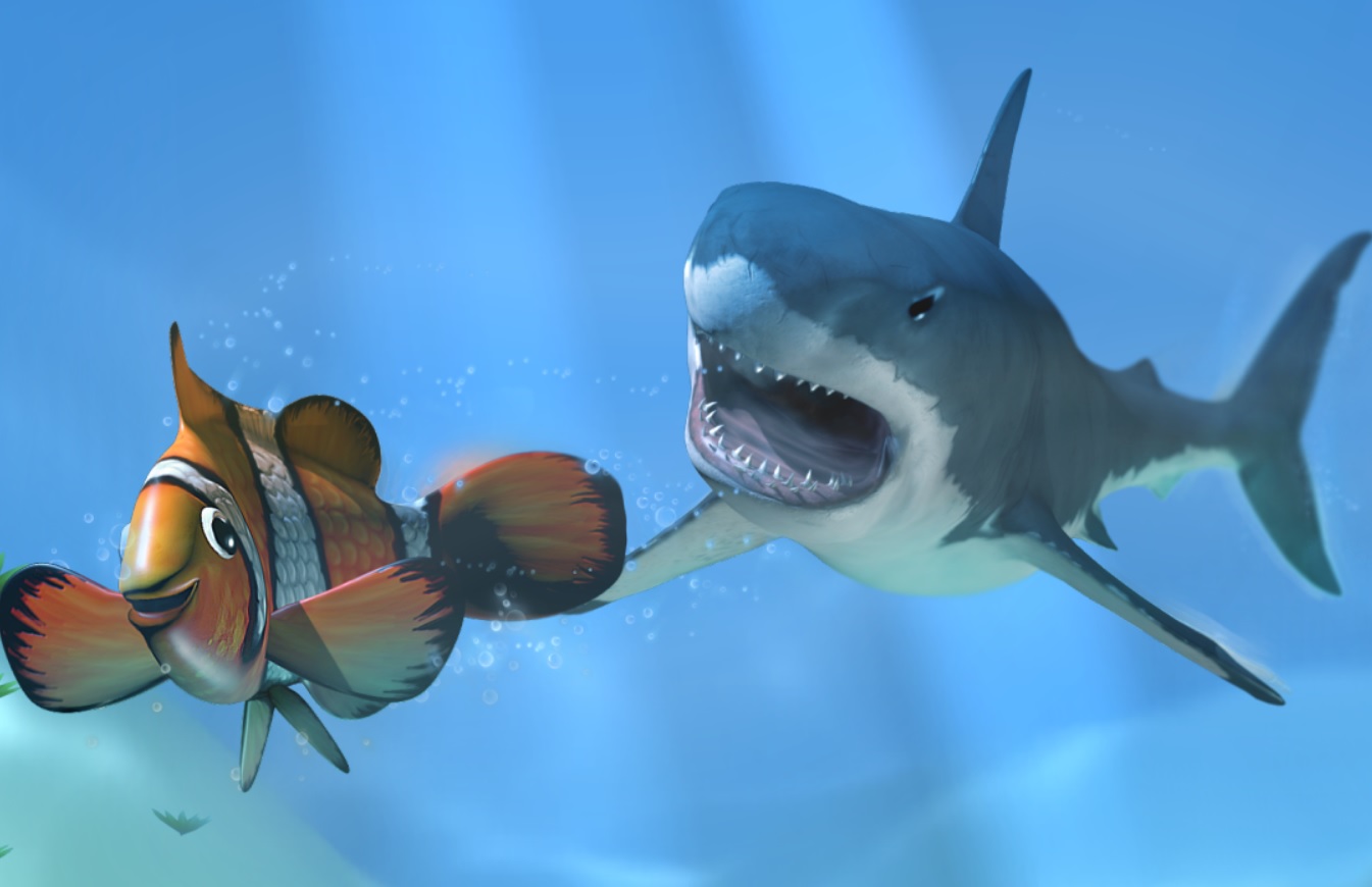 Shark Shark