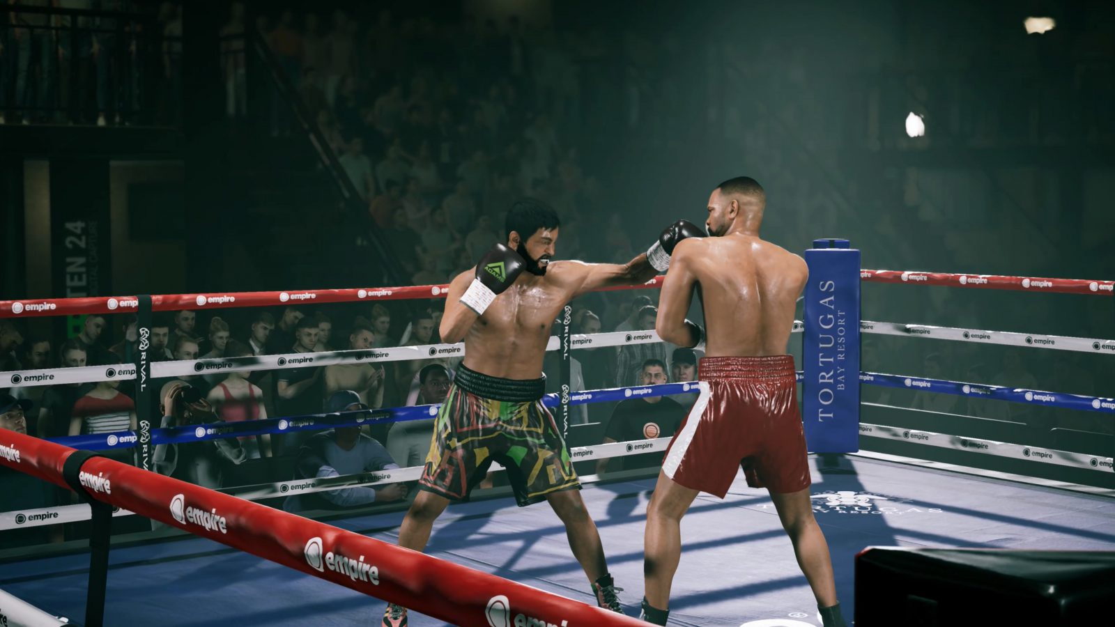 Undisputed