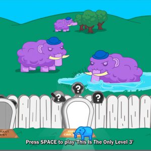 The Elephant Collection