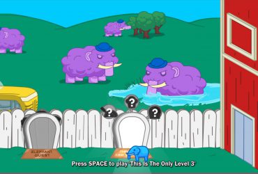 The Elephant Collection