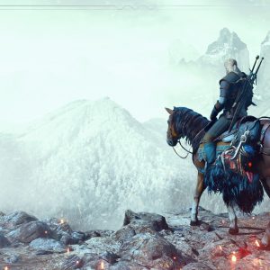 The Witcher 3 Wild Hunt