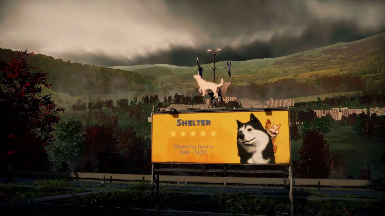 Animal Shelter 2