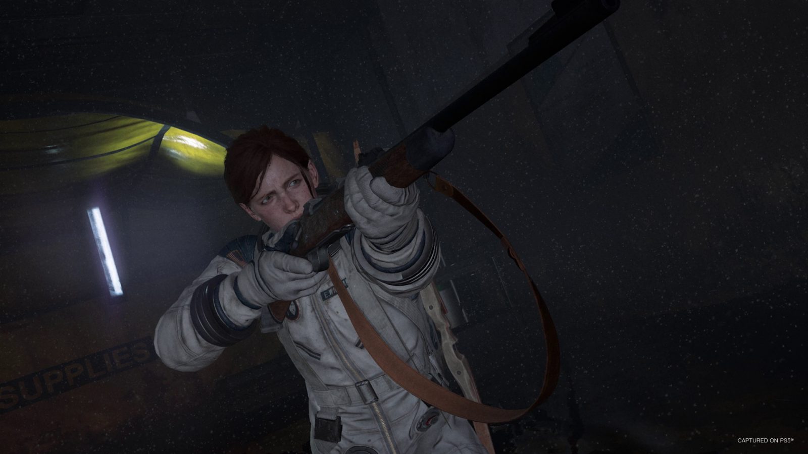 The Last of Us Part II No return