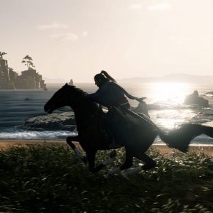 Rise of the Ronin