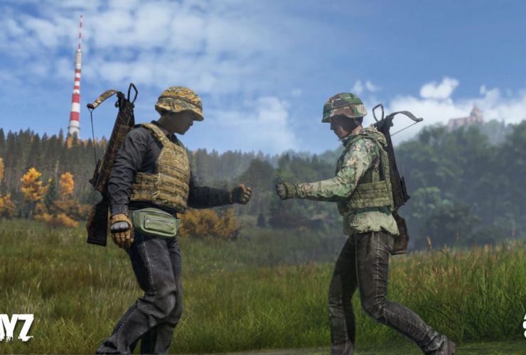 DayZ