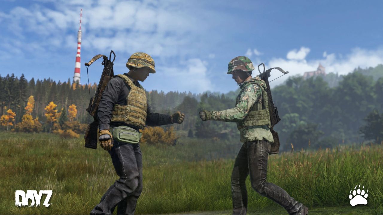 DayZ
