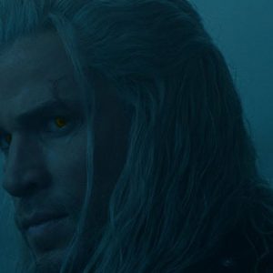 The Witcher