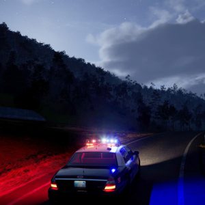 Highway Police Simulator
