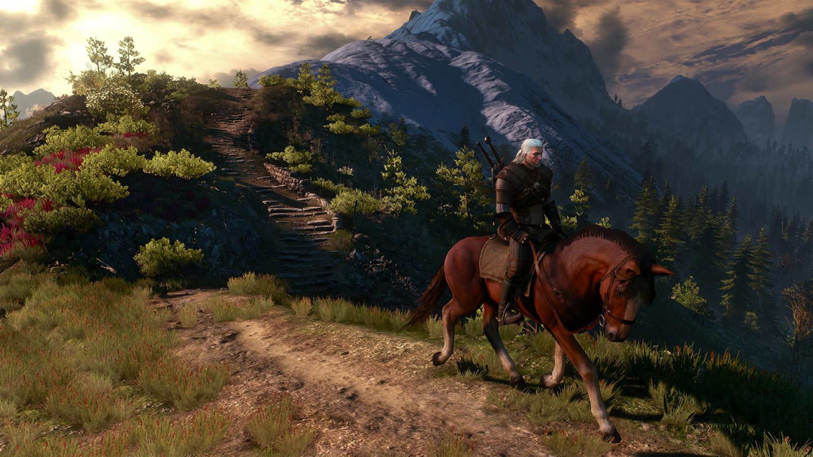 The Witcher 4