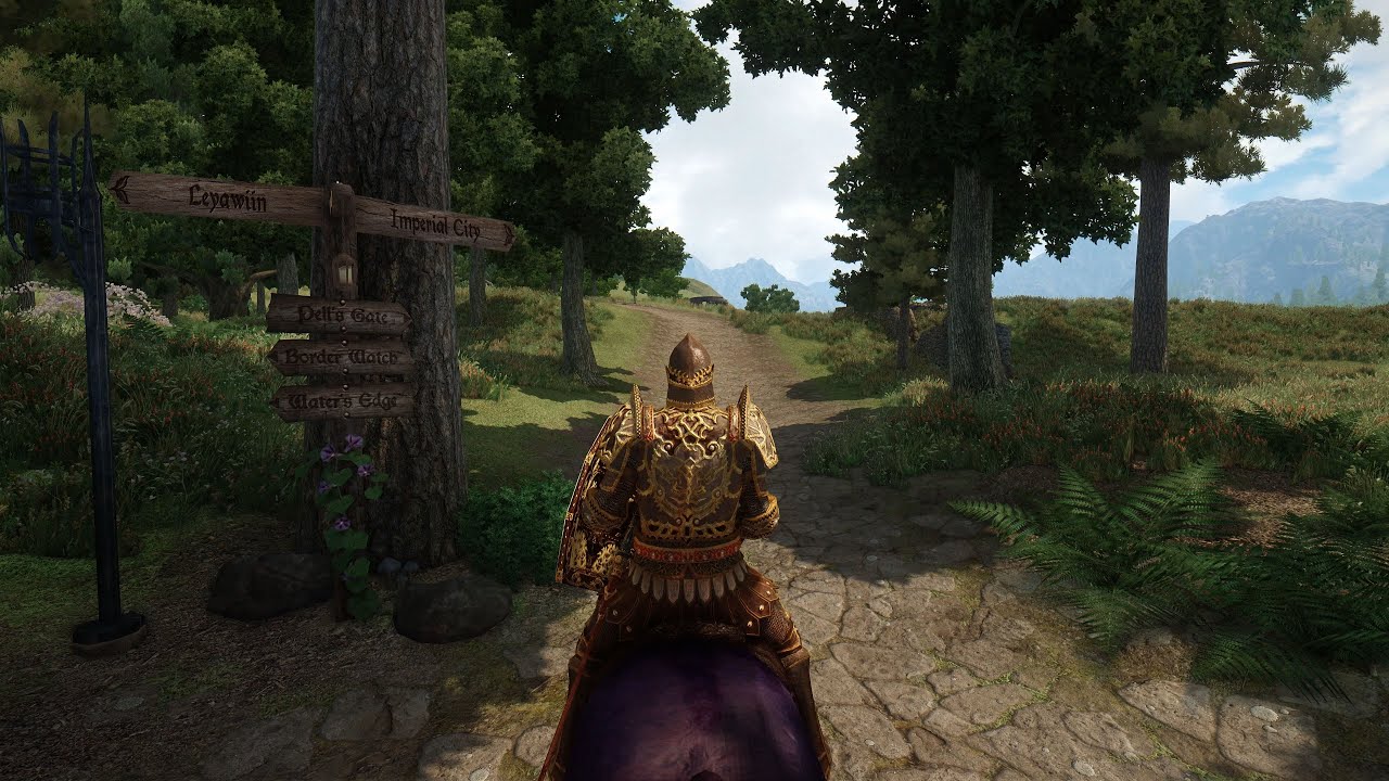 The Elder Scrolls