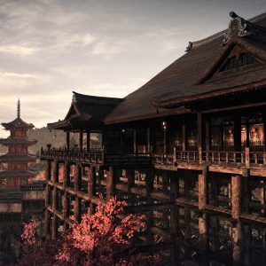 Rise of the Ronin