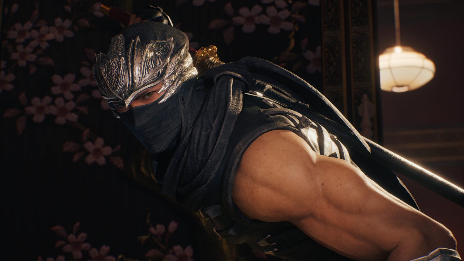 Ninja Gaiden