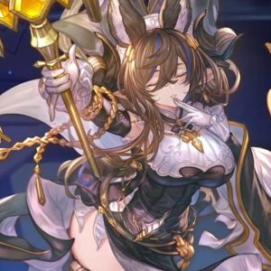 Granblue Fantasy Versus Rising